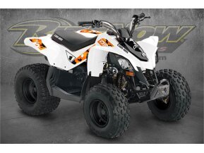 2022 Can-Am DS 70